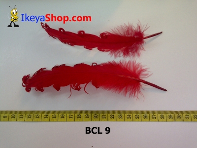 bulu curly BCL 9   feather  large2